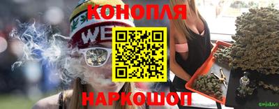 сатива Шебекино